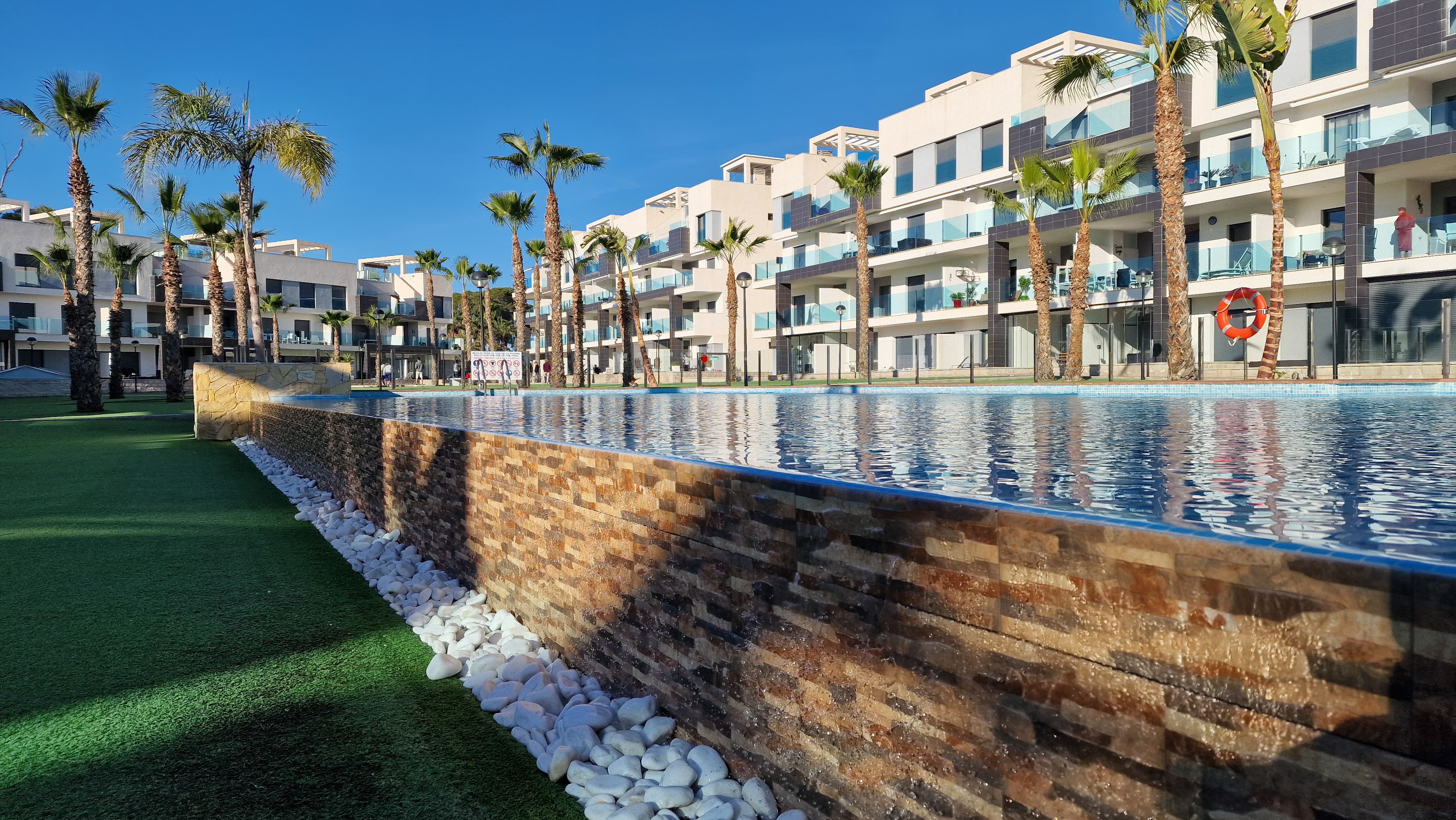 Pool & palms